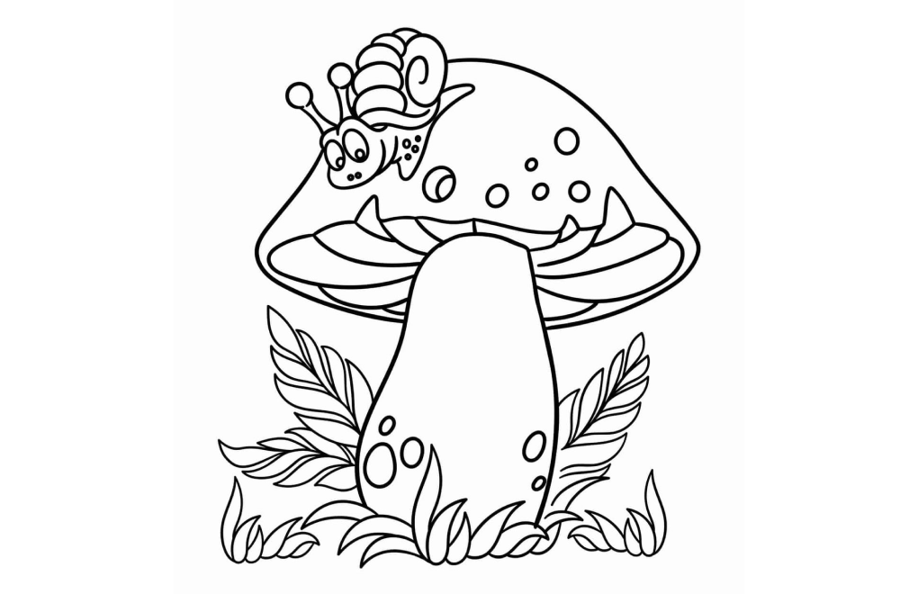 Theme card